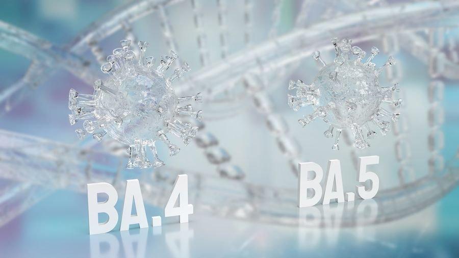 Omicron'un yayılan alt varyantları BA.4 ve BA.5 hakkında neler biliyoruz?