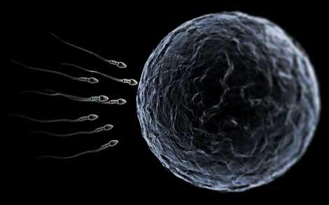 İnfertilitede dönüm noktası: İnsan spermi ürettiler