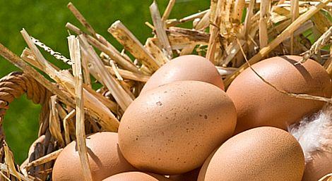Gıda Güvenliği Derneği Başkanı: Et ve yumurtayı yıkamayın