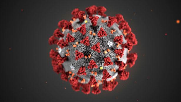 ABD'li bilim insanları: Virüs düşündüğümüz kadar ölümcül değil