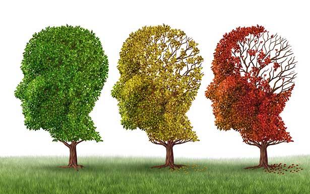 Alzheimer beyinde 25 yıl öncesinde başlıyor