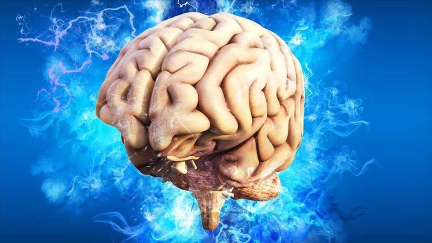 'Antik beyin' arşivi akıl hastalıklarına ışık tutacak