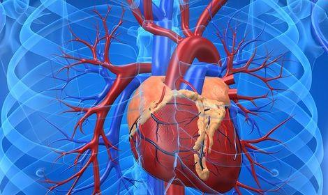  Kalp krizine karşı 'yeni tarama sistemi'