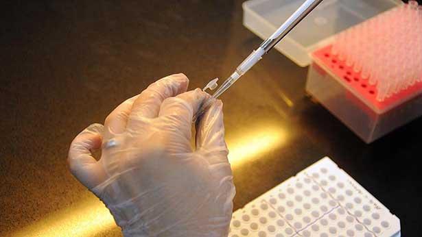 Kanadalı bilim insanlarından yeni çalışma: Ağızda eriyen aşı bantları
