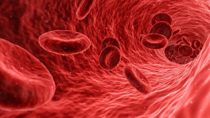 Yeni araştırma: A kan grubunun felç riski yüksek