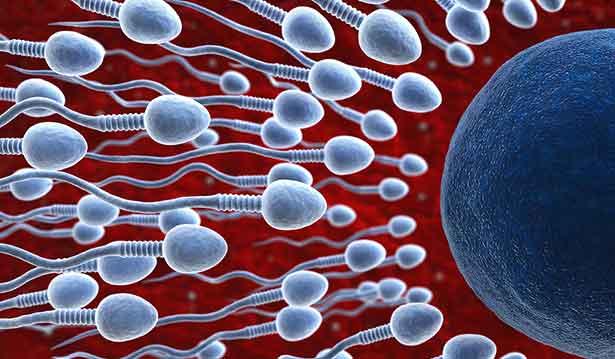 Uzmanlar uyardı: COVID-19’un ardından sperm kalitesi aylarca düzelmiyor