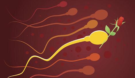 Tüp bebek tedavisinde 'en iyi koşan sperm' başarısı
