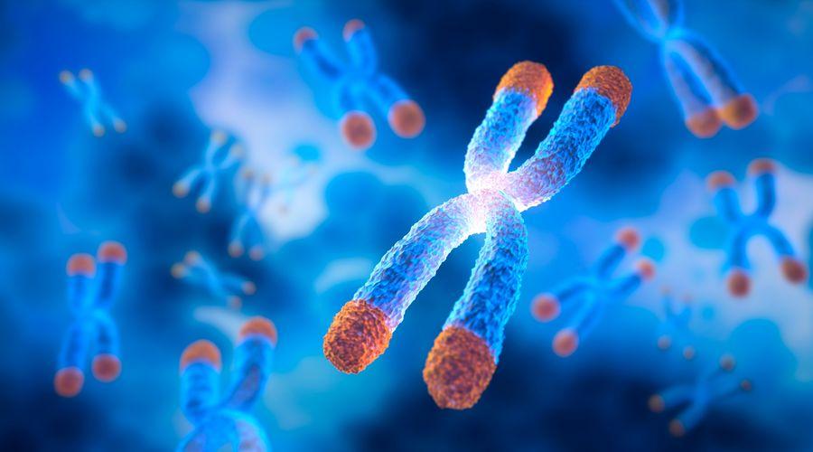 Lökositlerdeki kısa telomer uzunluğu artan demans riskiyle bağlantılı