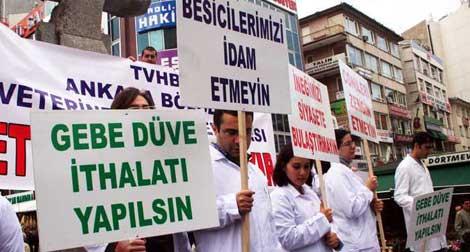 Veteriner hekimler, et ithalatını protesto etti